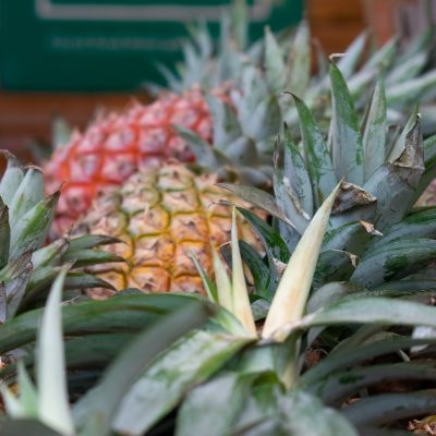 Puerco de la Costa with Pineapple