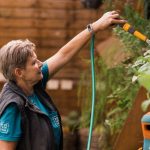 The nursery collective, the way to grow