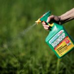 Glyphosate / Roundup round up