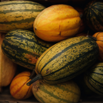 What’s in season this October?