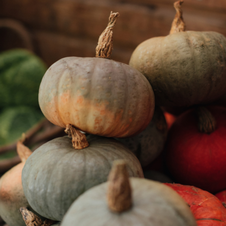GREEK PUMPKIN PIE